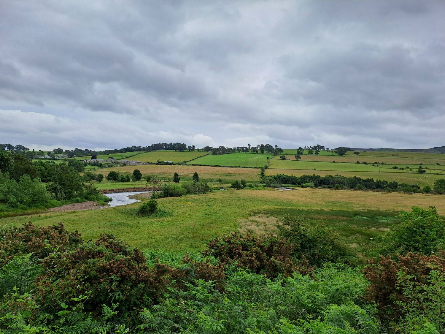 Another field